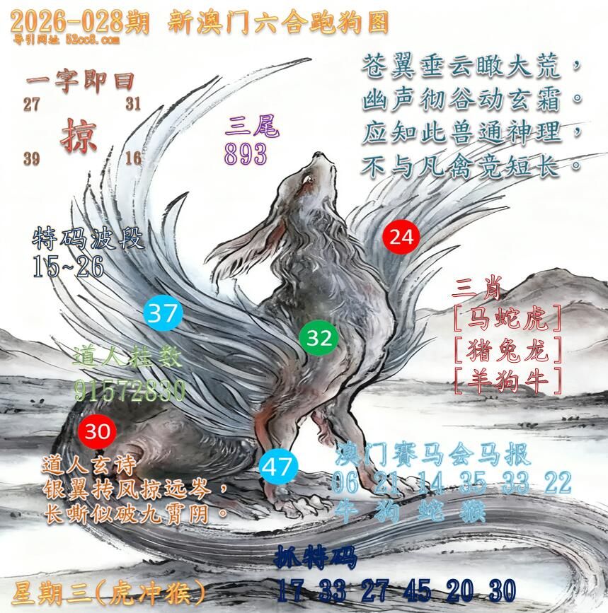 新澳门六合跑马图028期
