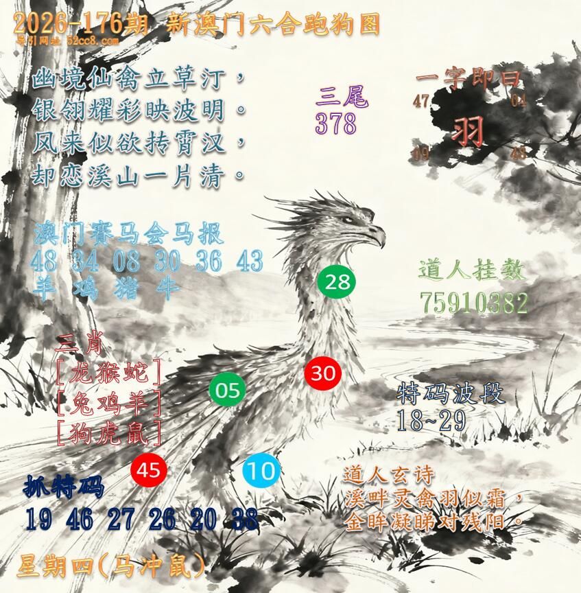 新澳门六合跑马图176期