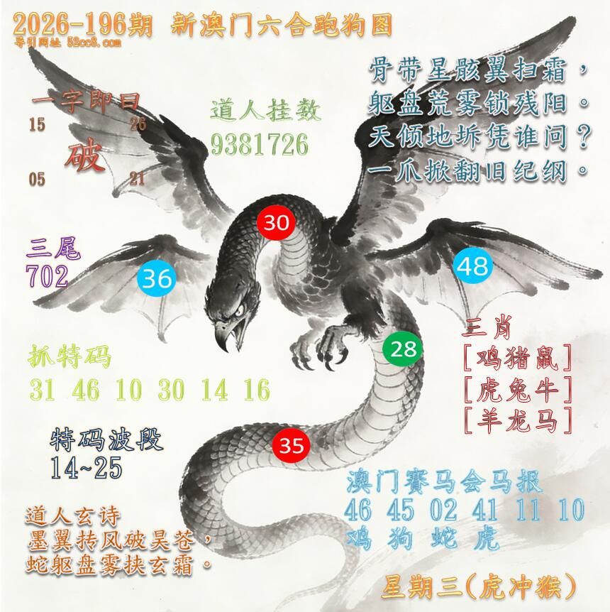 新澳门六合跑马图196期