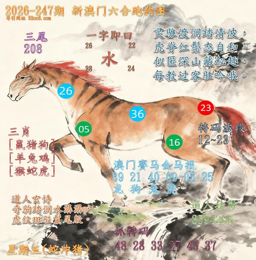 新澳门六合跑马图247期