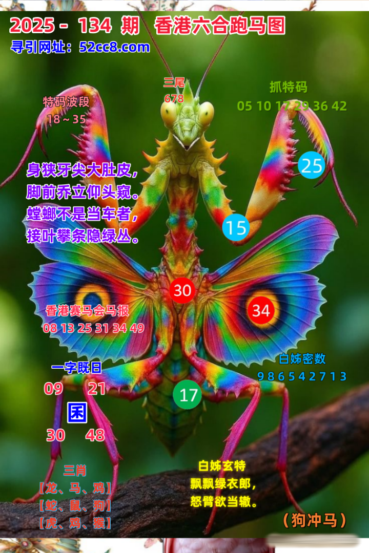 香港六合134期