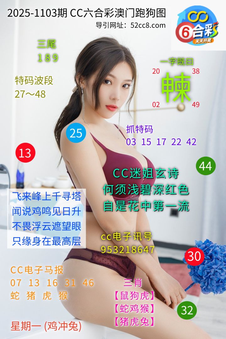 CC六合澳门跑马图1103期