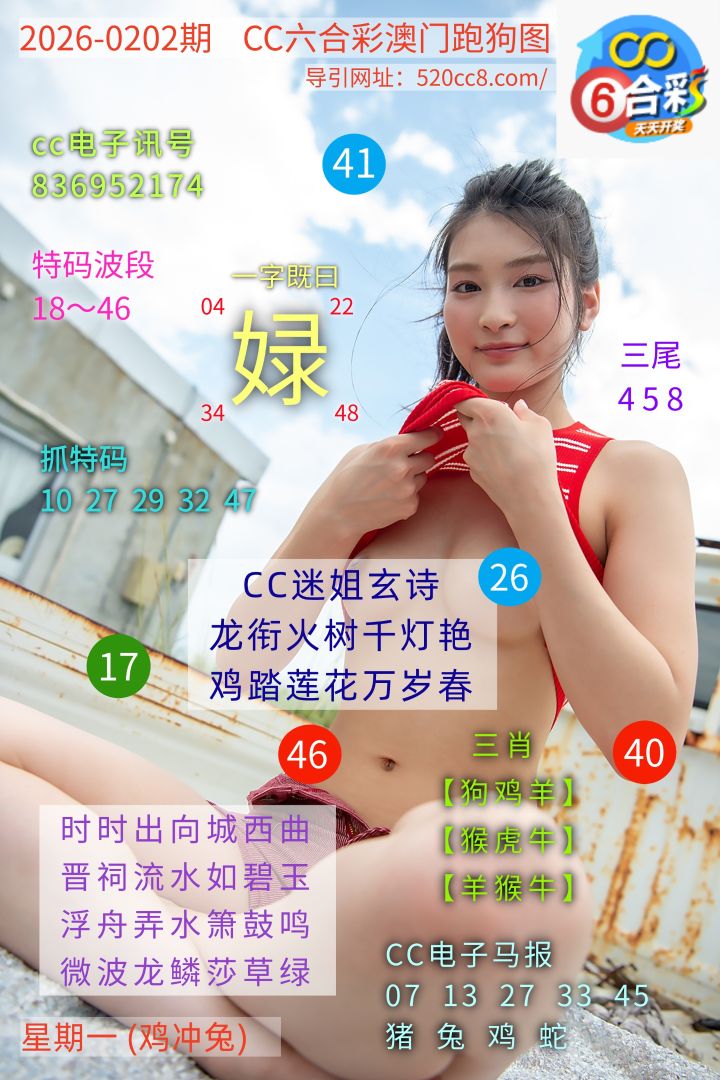 CC六合澳门跑马图0202期