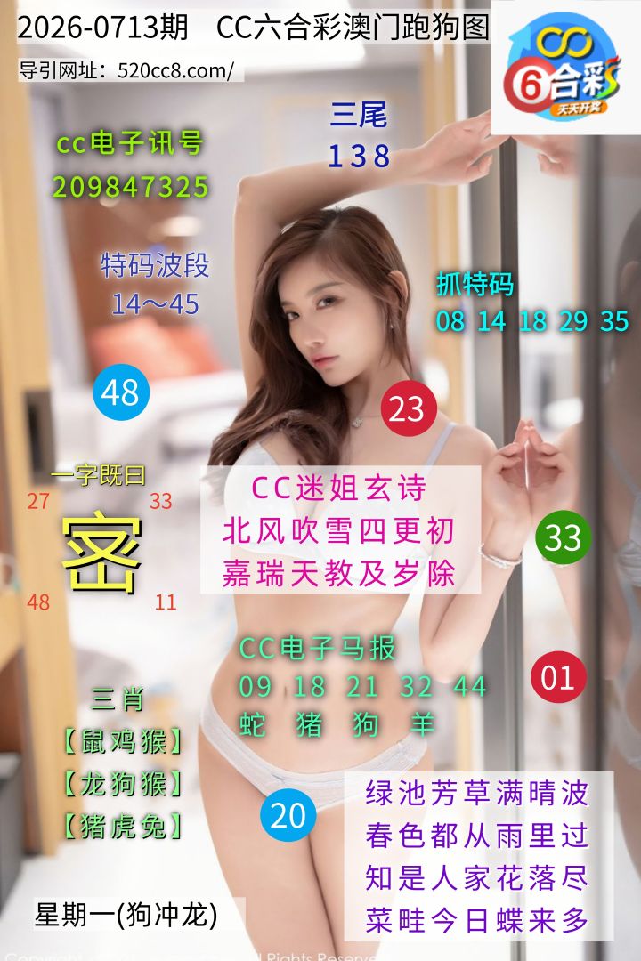 CC六合澳门跑马图0713期